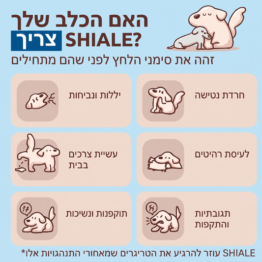 מארז מפיץ פרומונים להרגעת כלבים